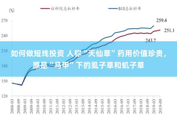 如何做短线投资 人称“天仙草”药用价值珍贵，原是“马甲”下的虱子草和虮子草