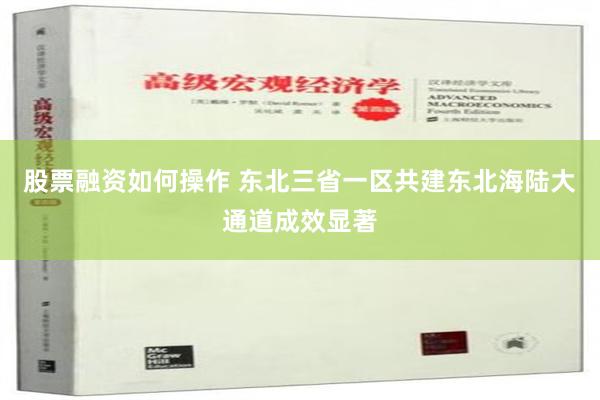 股票融资如何操作 东北三省一区共建东北海陆大通道成效显著