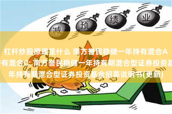 杠杆炒股原理是什么 南方誉民稳健一年持有混合A,南方誉民稳健一年持有混合C: 南方誉民稳健一年持有期混合型证券投资基金招募说明书(更新)