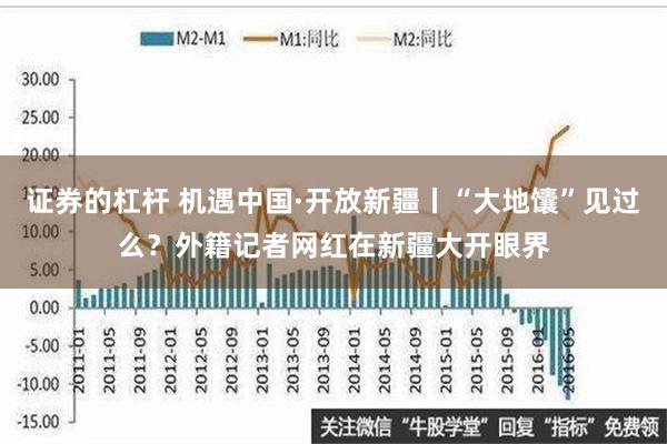 证券的杠杆 机遇中国·开放新疆丨“大地馕”见过么？外籍记者网红在新疆大开眼界