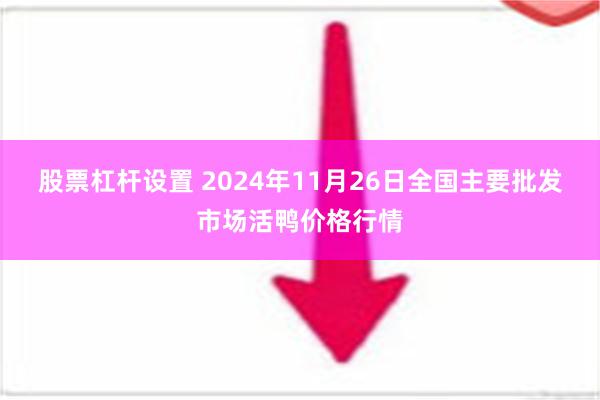 股票杠杆设置 2024年11月26日全国主要批发市场活鸭价格行情