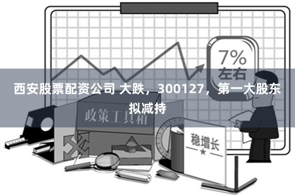 西安股票配资公司 大跌，300127，第一大股东拟减持